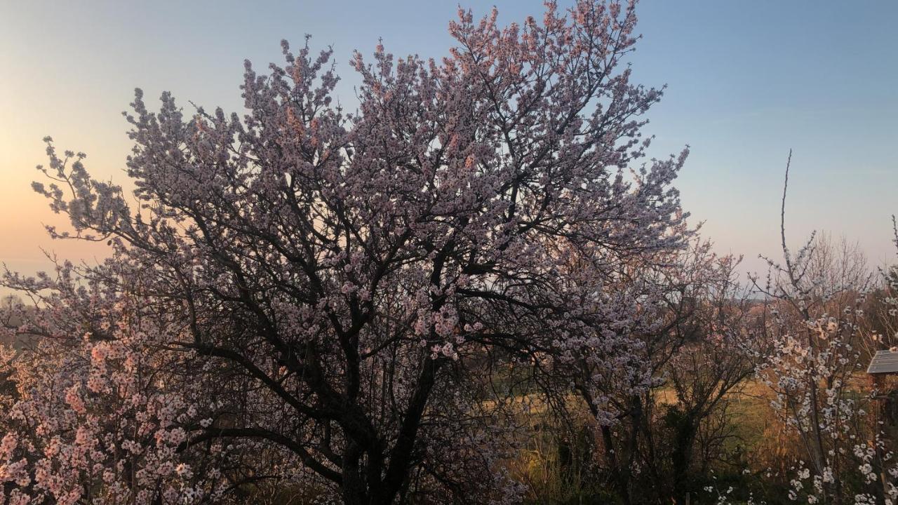 Panorama Balaton Villa Balatongyörök Buitenkant foto